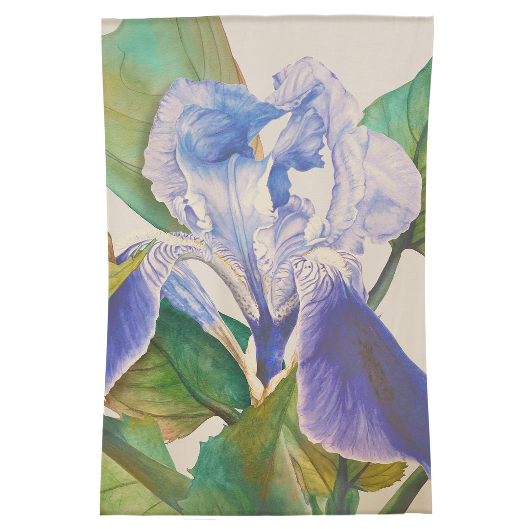 DARWEN CORNFLOWER 120X180 RUG BLUE