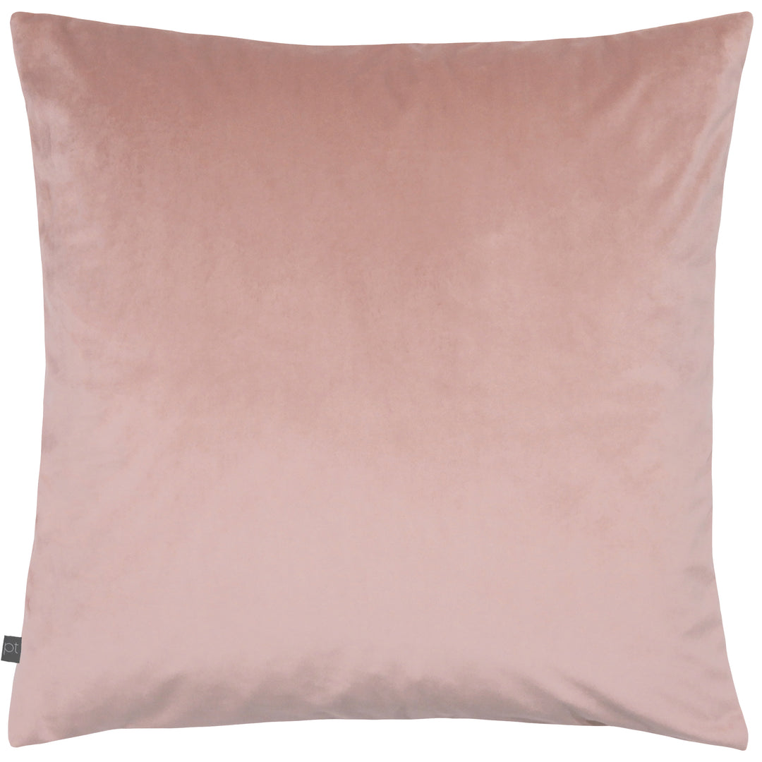 DECO 55X55 C/CASE BLUSH