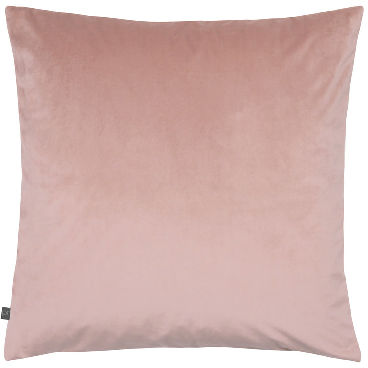 DECO 55X55 C/CASE BLUSH