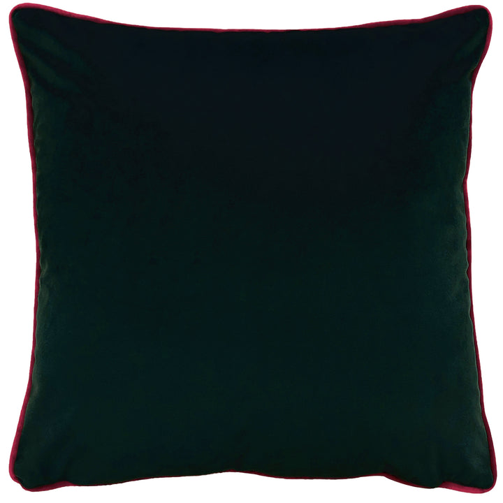 EDEN BLOOM 50X50 C/CASE