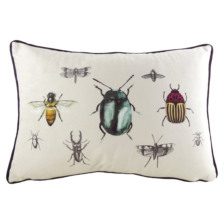 EDEN INSECTS 35X50 C/CASE