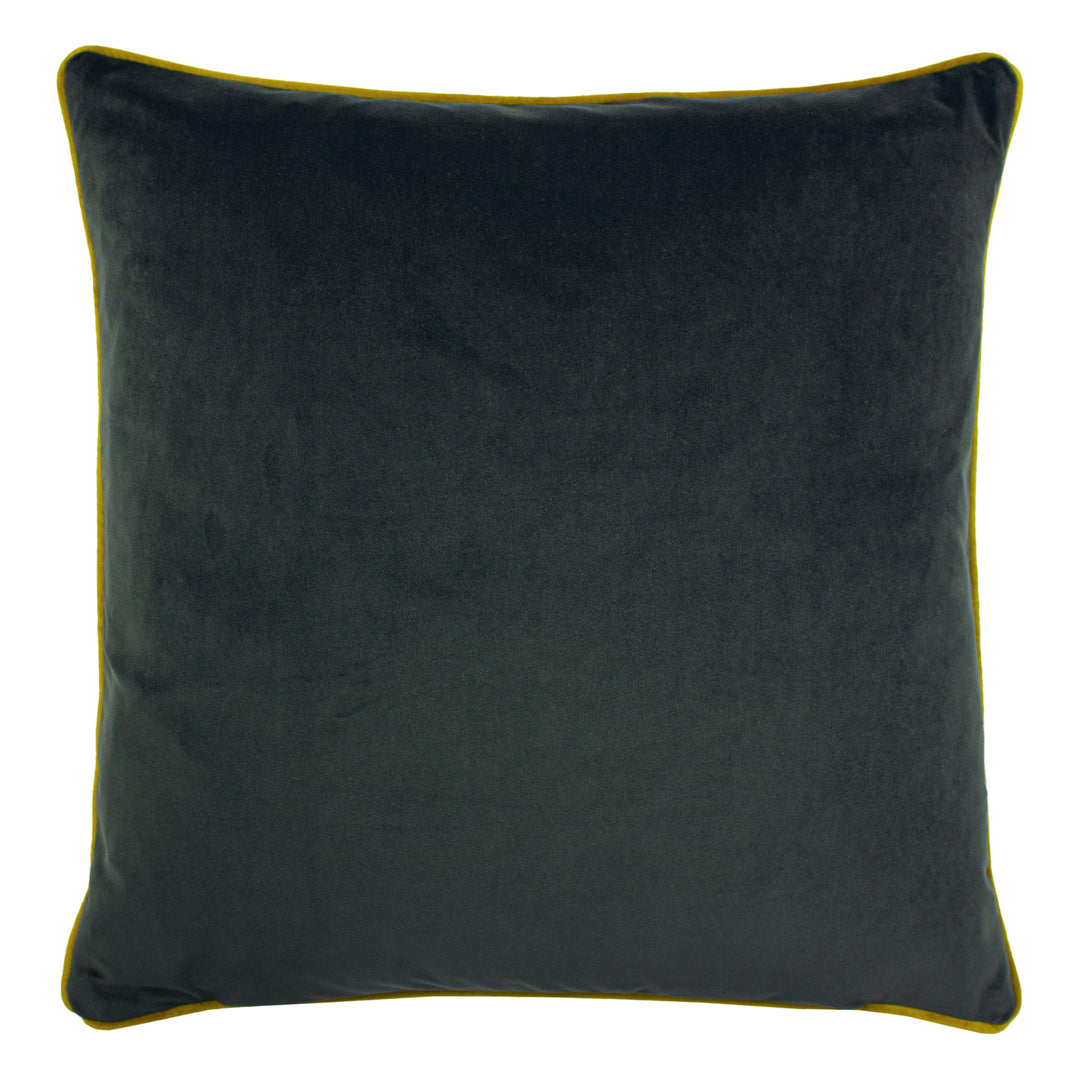 ELWOOD HARE 50X50 C/CASE MULTI