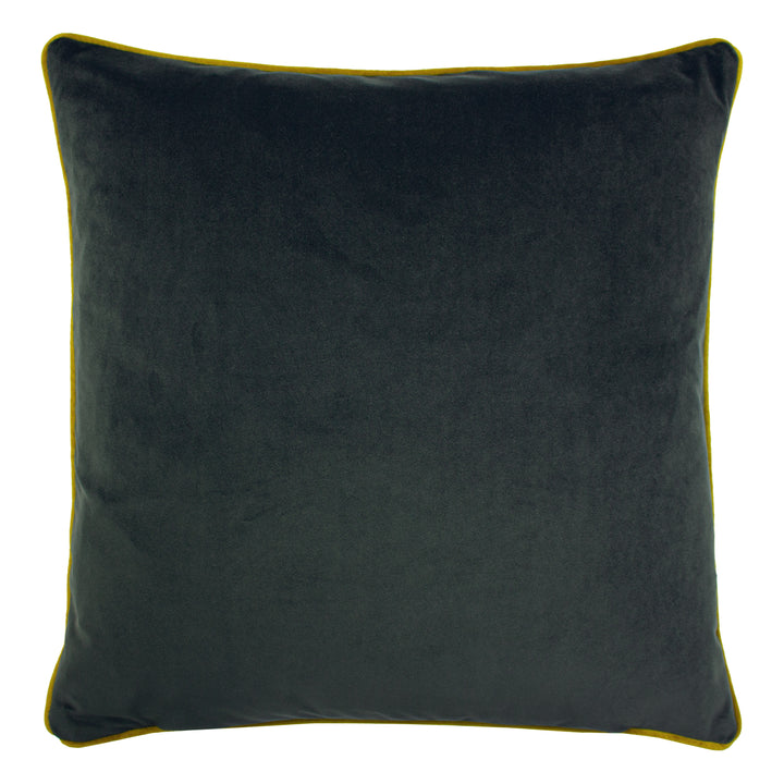 ELWOOD HARE 50X50 C/CASE MULTI