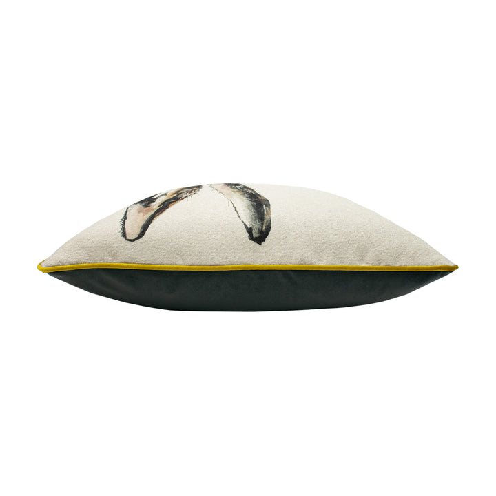 ELWOOD HARE 50X50 C/CASE MULTI