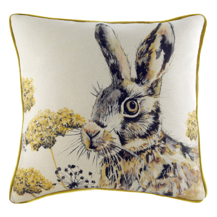 ELWOOD HARE 50X50 C/CASE MULTI