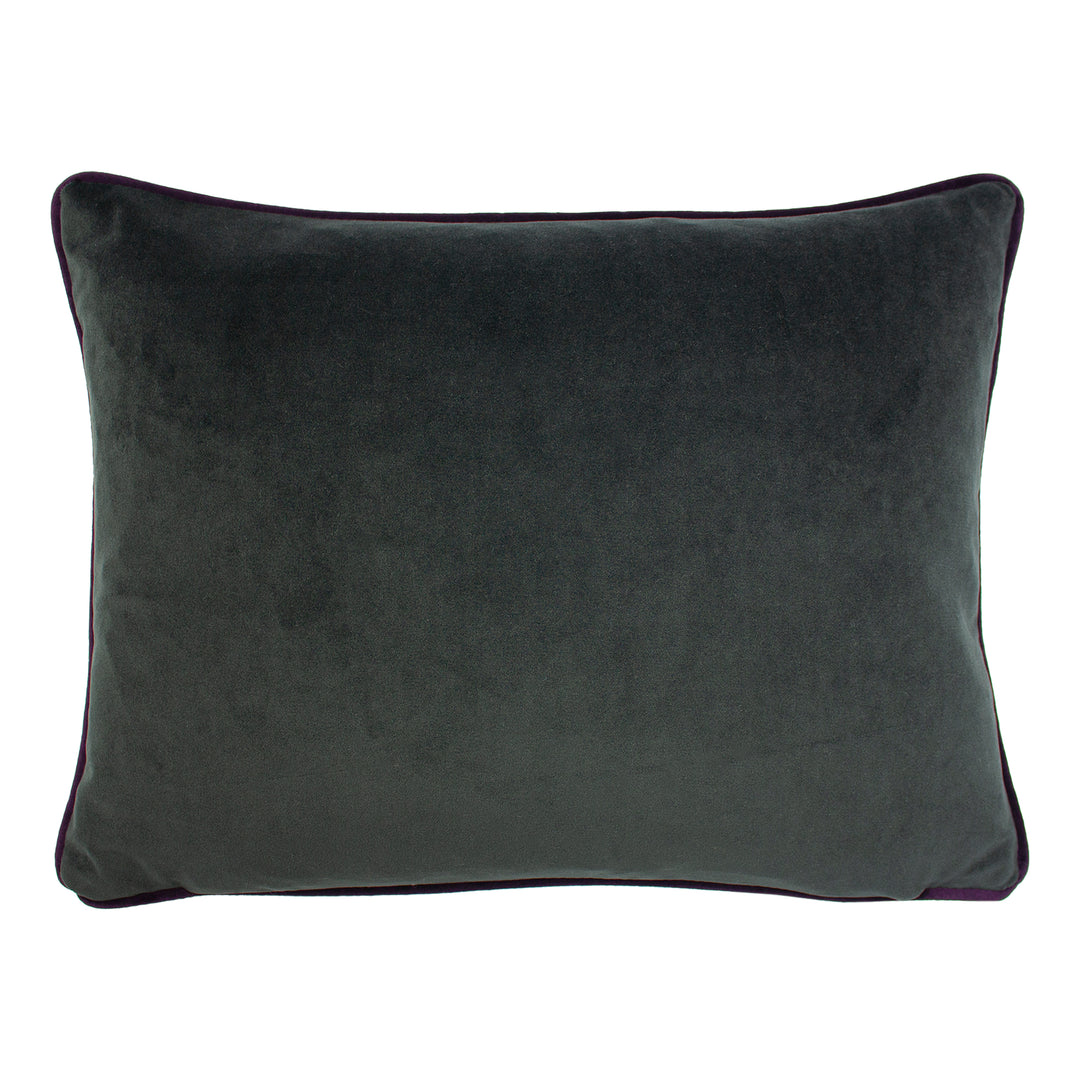 ELWOOD HEDGEHOG 43X33 C/CASE MULTI