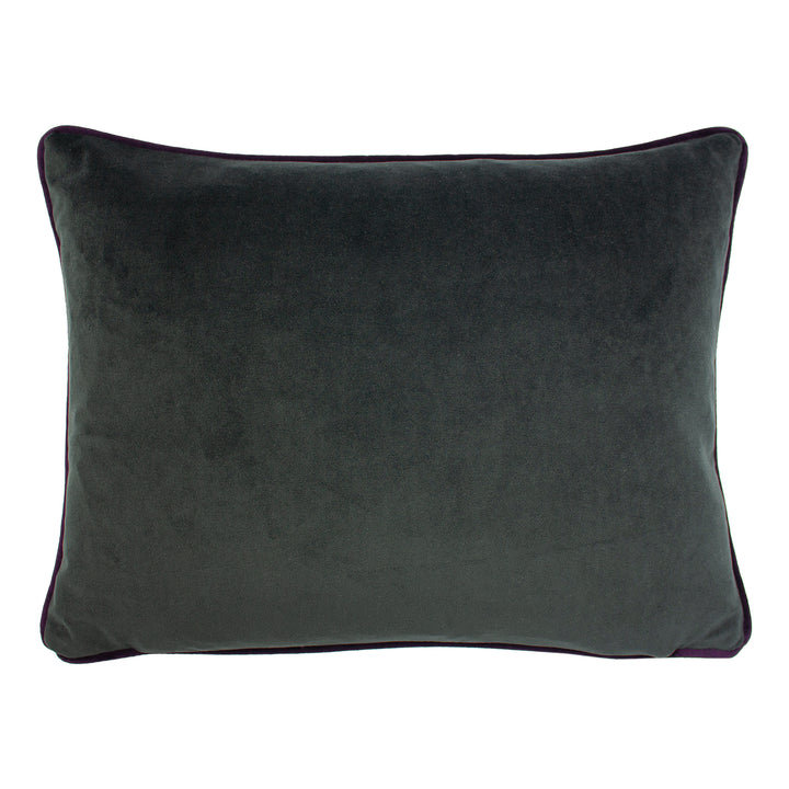 ELWOOD HEDGEHOG 43X33 C/CASE MULTI
