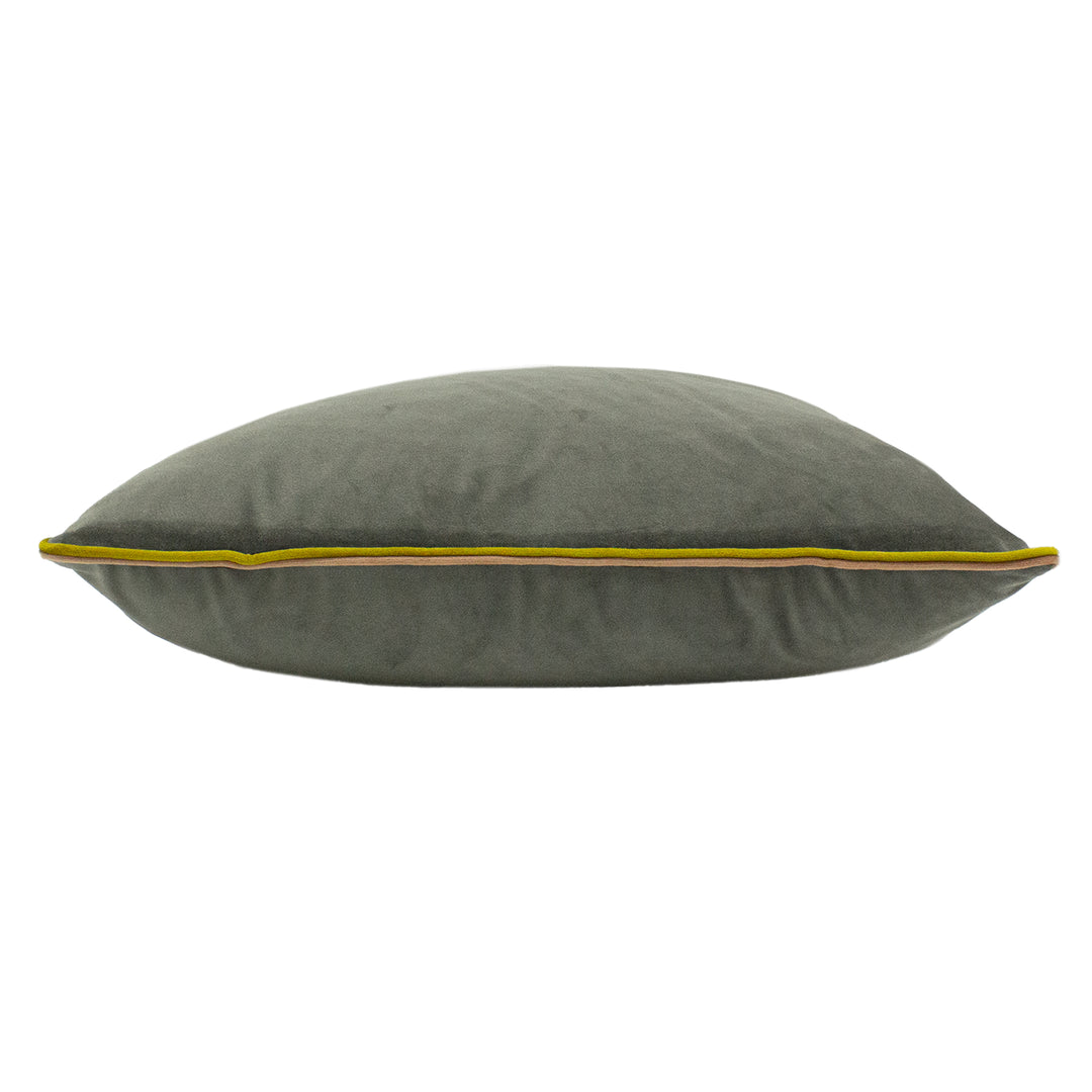 GEMINI 50X50 C/CASE GRY/BAM/BLS