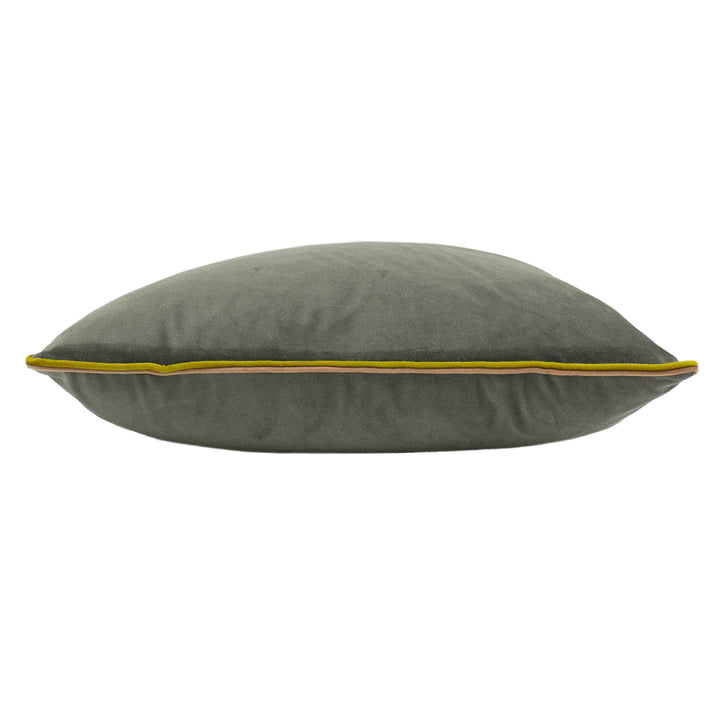 GEMINI 50X50 C/CASE GRY/BAM/BLS
