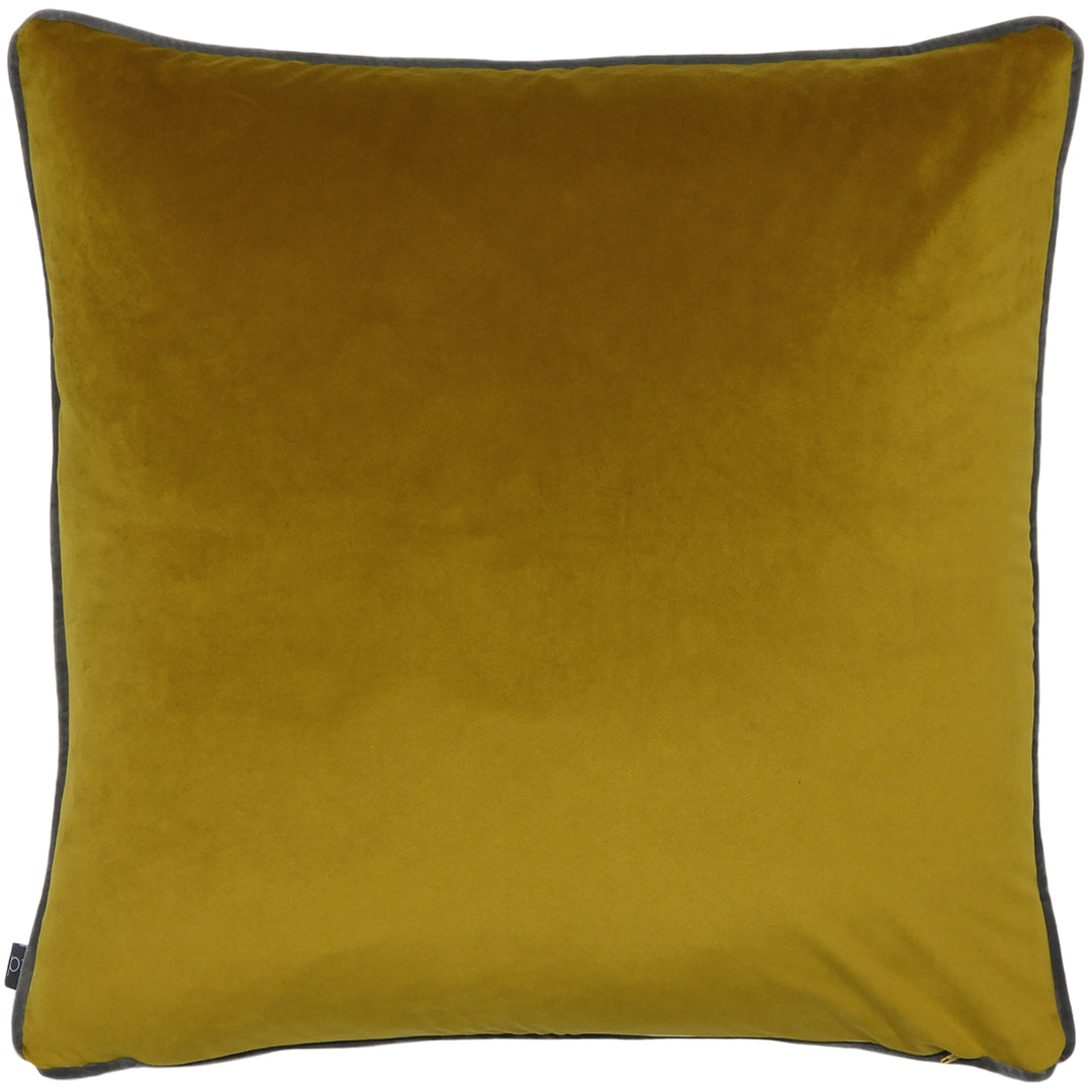 GISELE 50X50 C/CASE AMBER