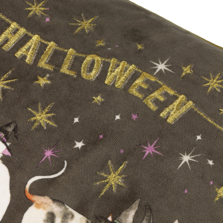 Halloween Pawty 30x50 Cushion Case Multi - image 5