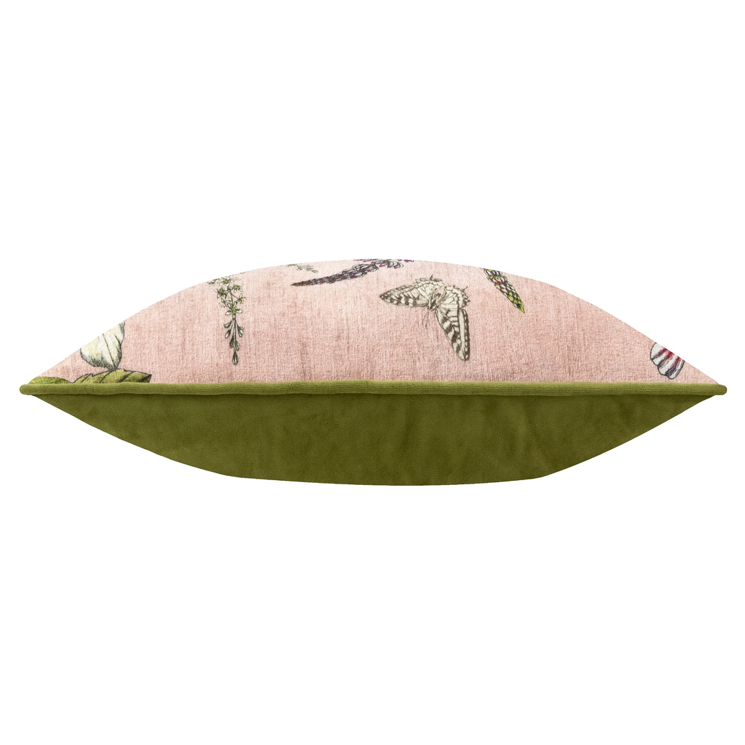 HIDCOTE MANOR EVELYN 30X50 CUSHION CASE BLUSH
