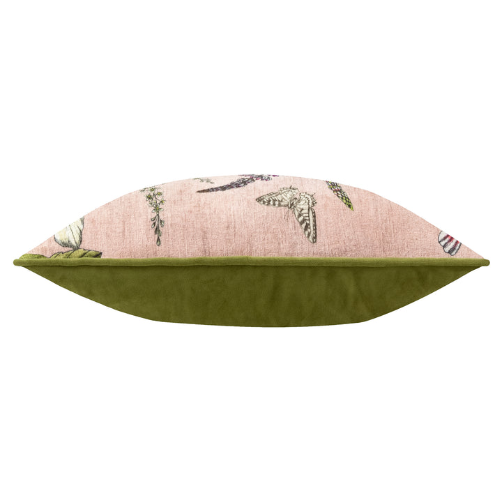 HIDCOTE MANOR EVELYN 30X50 CUSHION CASE BLUSH