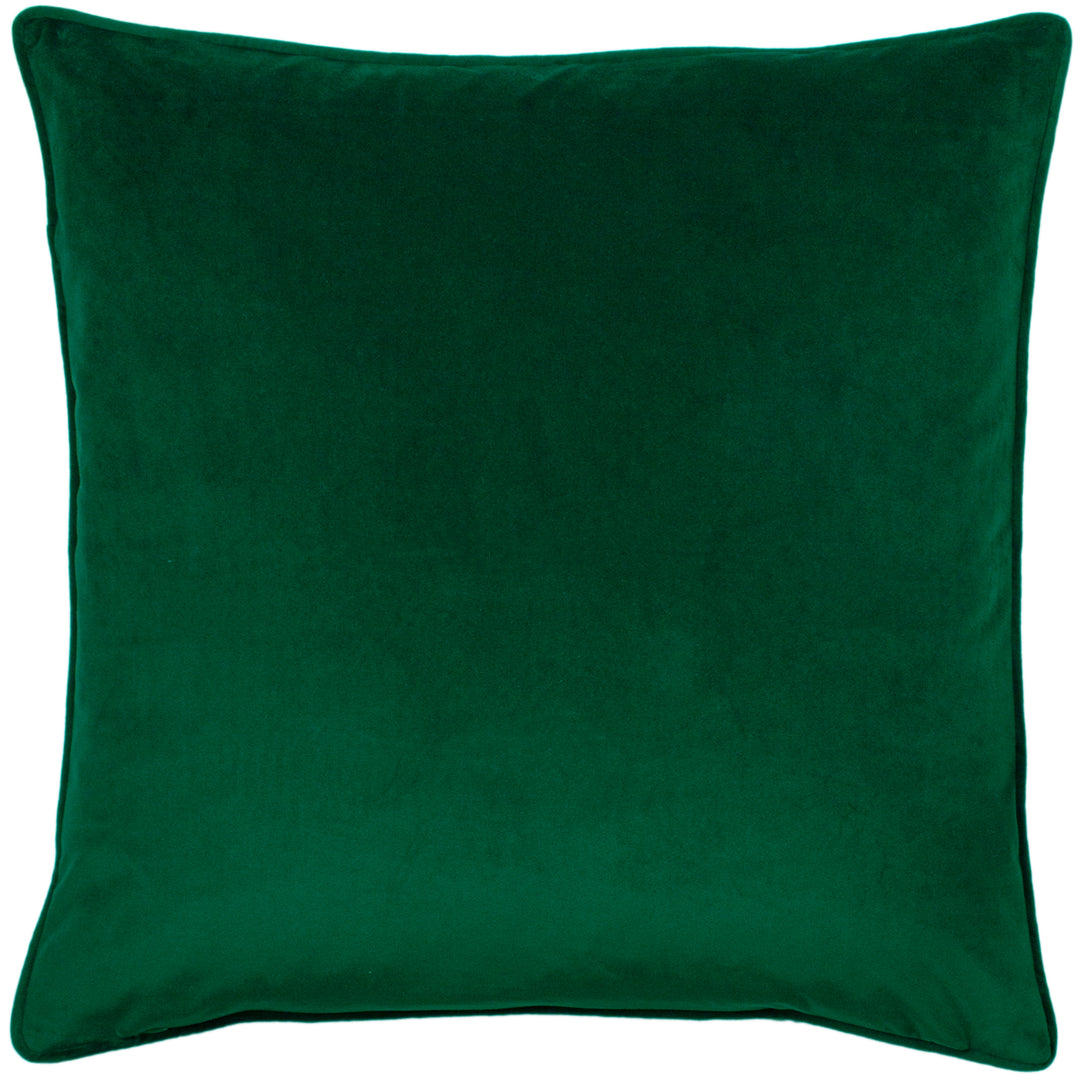 HORTUS 50X50 C/CASE EMERALD