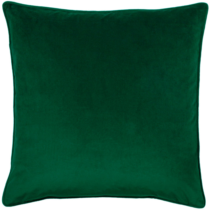 HORTUS 50X50 C/CASE EMERALD