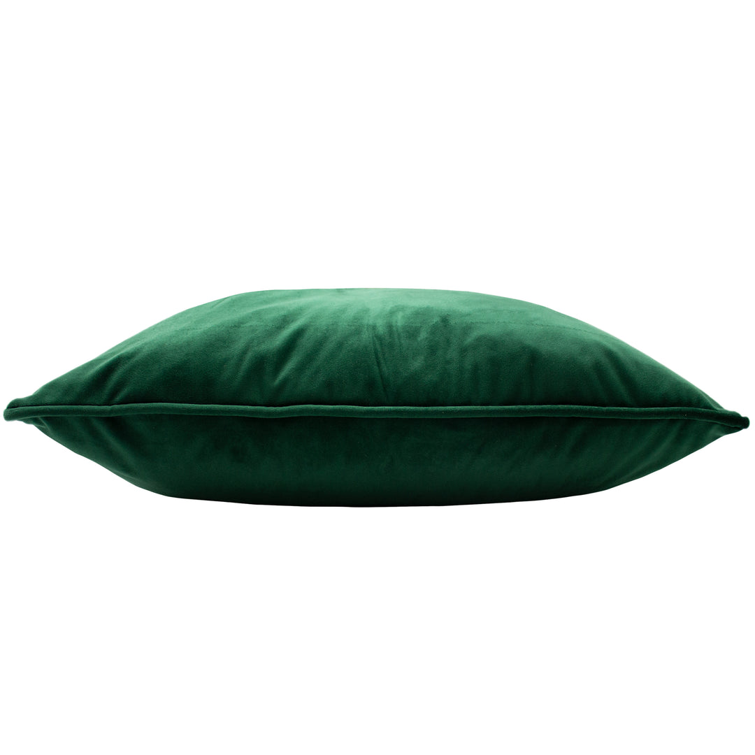 HORTUS 50X50 C/CASE EMERALD