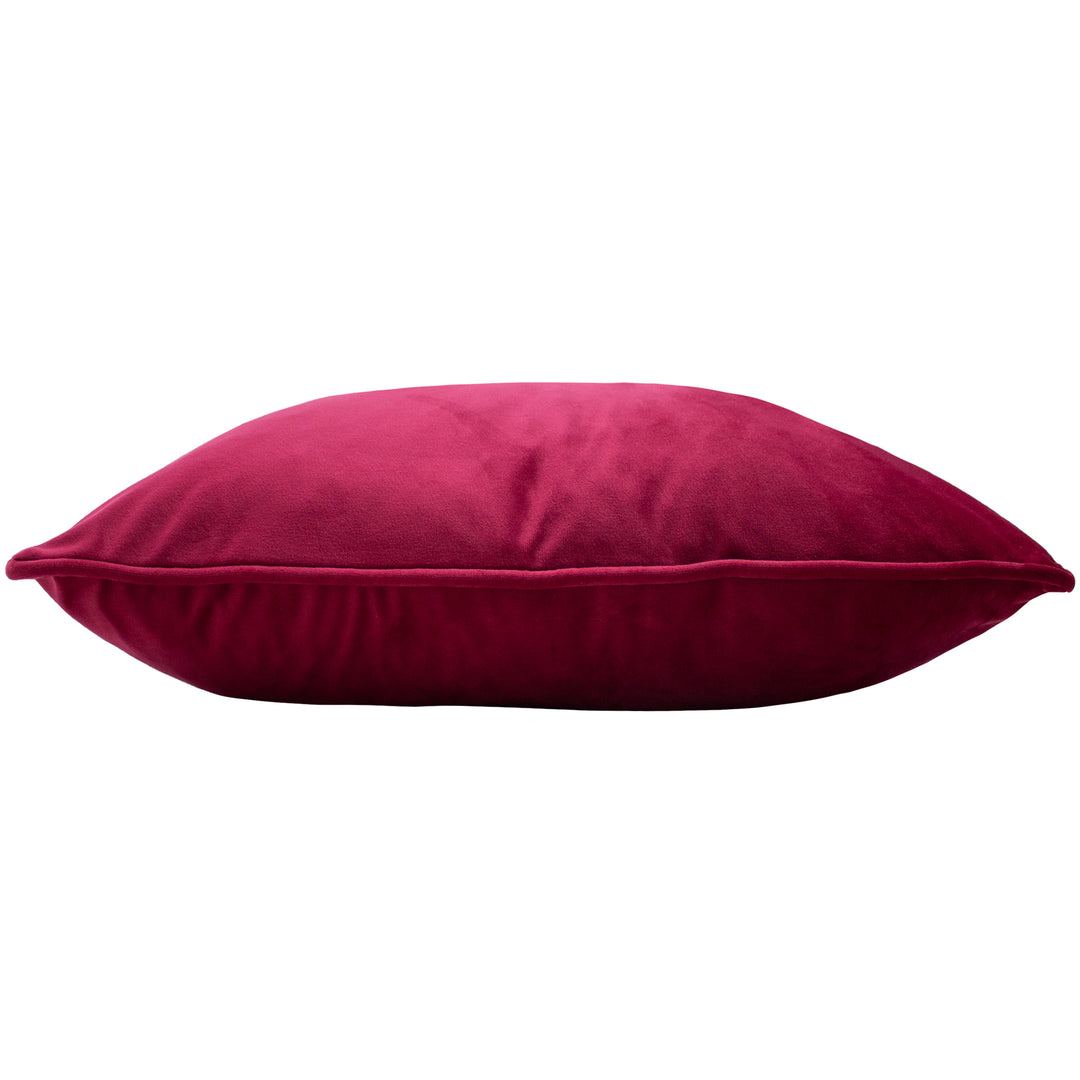 HORTUS 50X50 C/CASE FUCHSIA