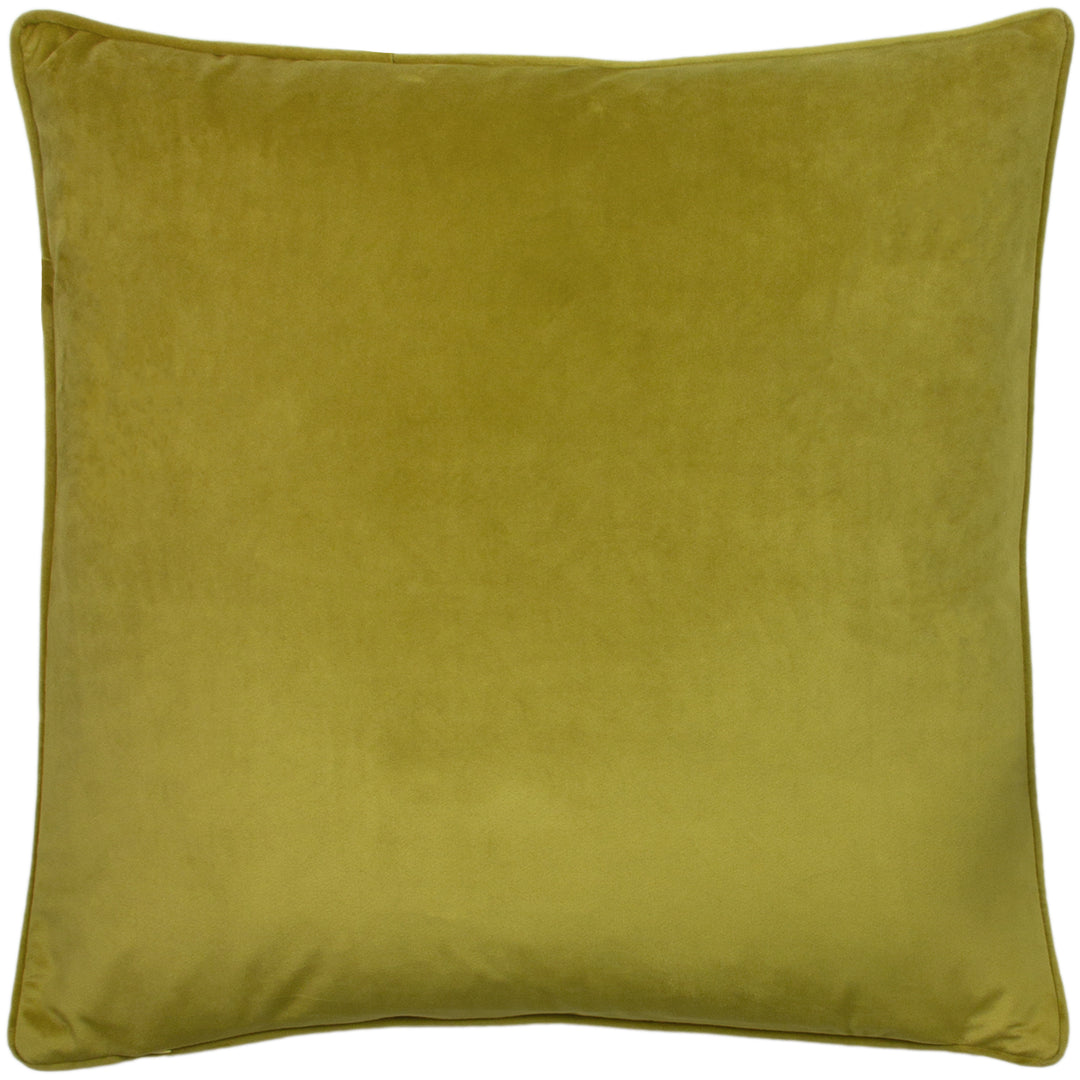 HORTUS 50X50 C/CASE OLIVE