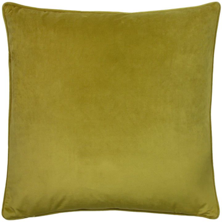 HORTUS 50X50 C/CASE OLIVE