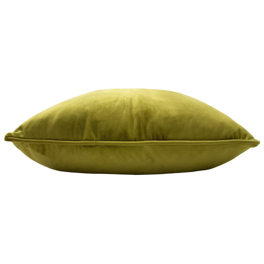 HORTUS 50X50 C/CASE OLIVE