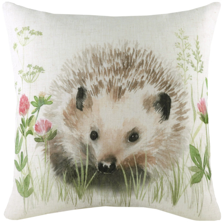 HEDGEROW HEDGEHOG 43X43 C/CASE