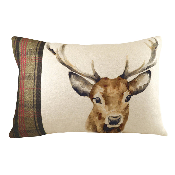 HUNTER STAG 40X60 C/CASE MULTI