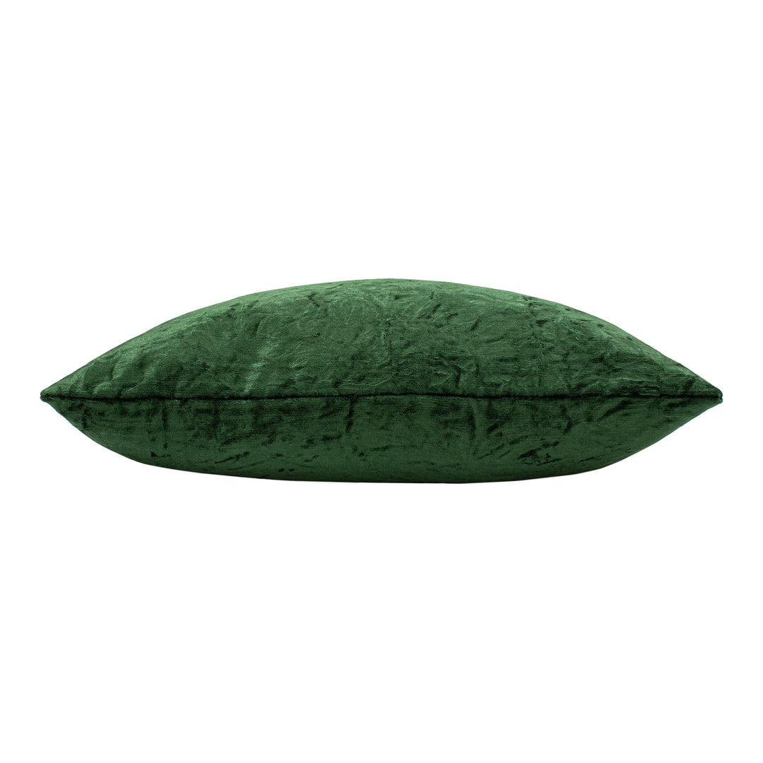 KASSARO 50X50 C/CASE FOREST