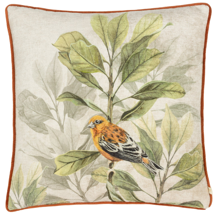 KIELDER FOREST 43X43 CUSHION CASE SWINLEY
