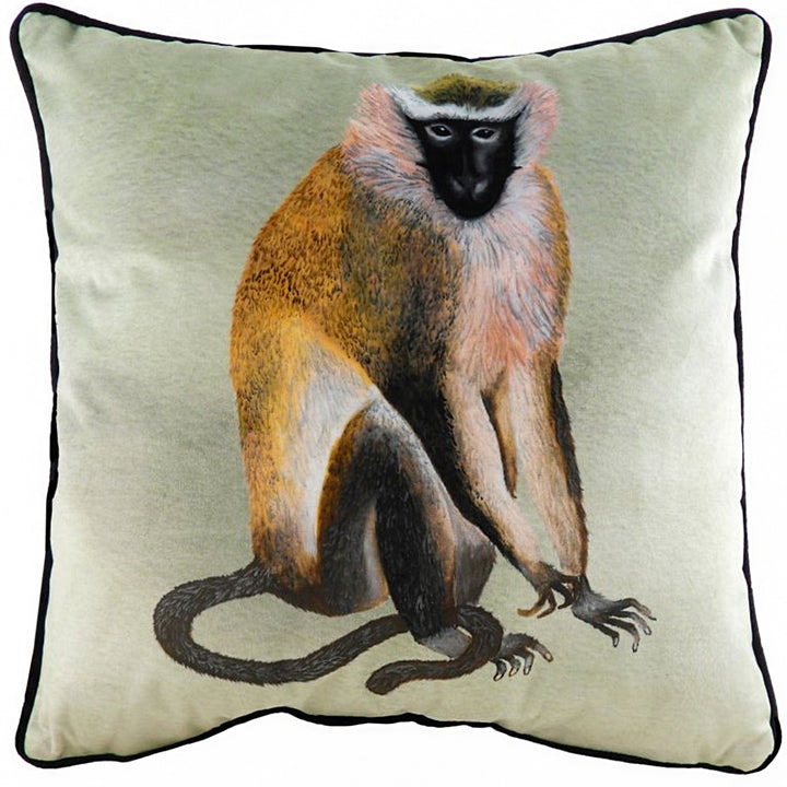 KIBALE MONKEY 43X43 C/CASE