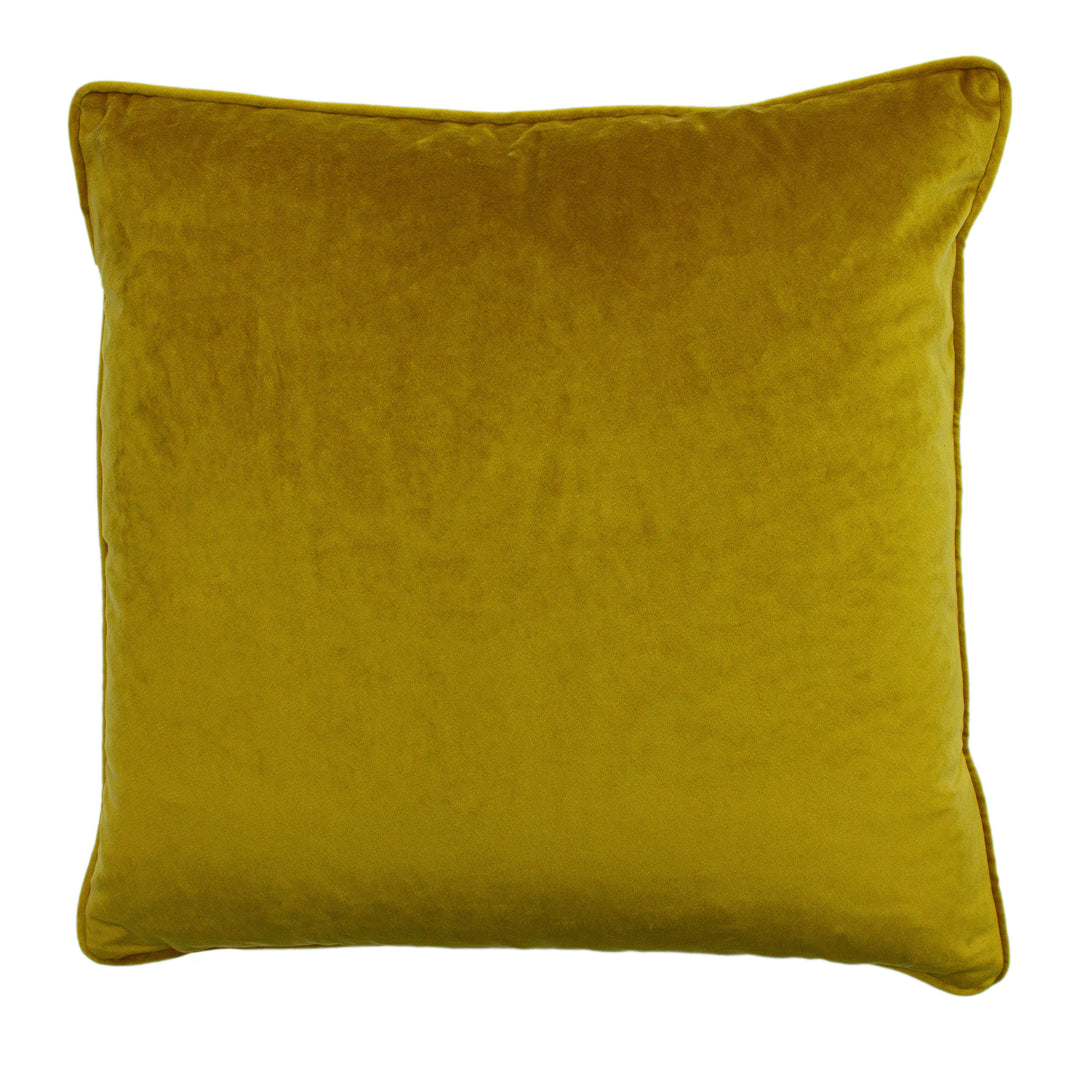LEVEQUE 50X50 C/CASE TEAL/GOLD