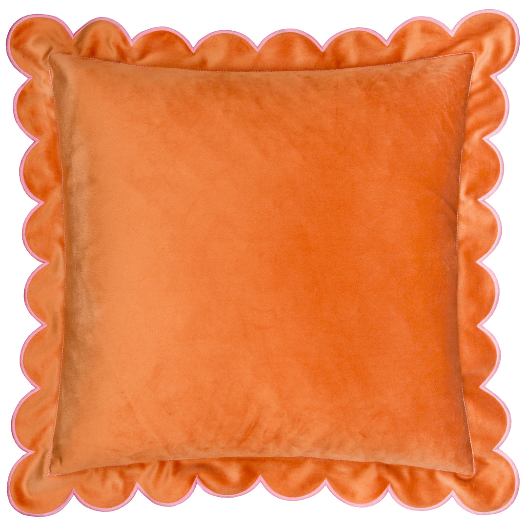 Lil Scallop 45x45 Cushion Case Orange / Pink - image 2