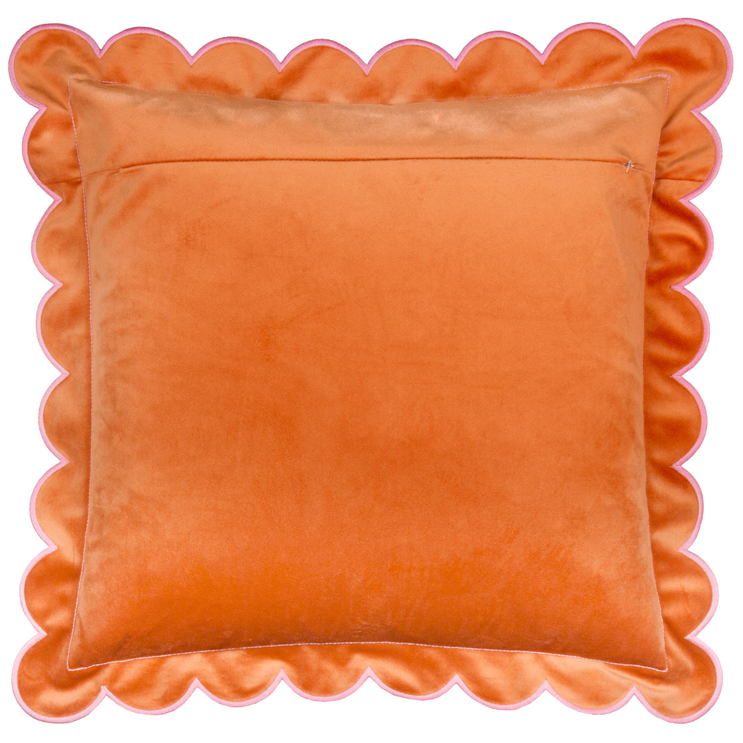 Lil Scallop 45x45 Cushion Case Orange / Pink - image 3