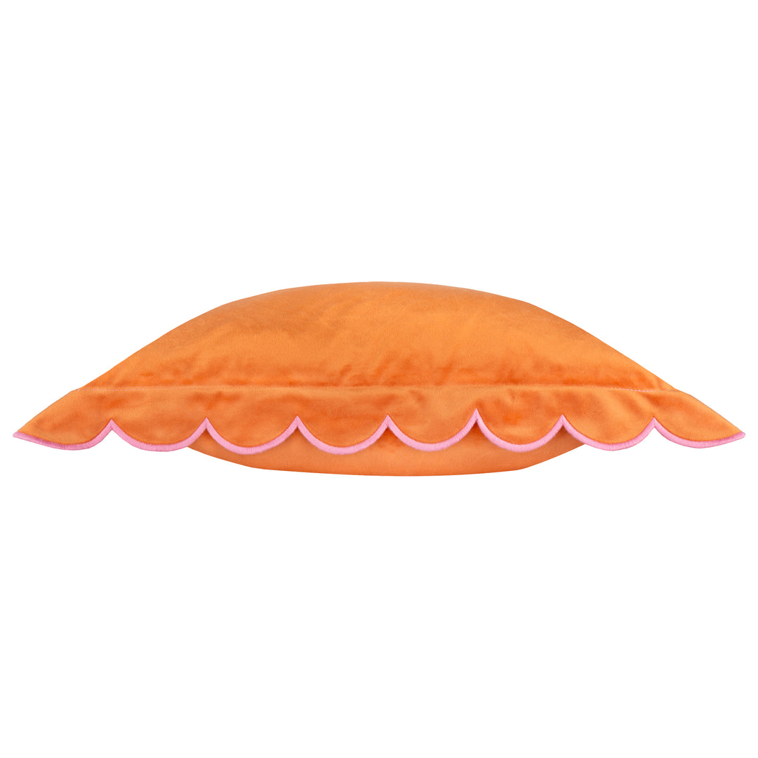 Lil Scallop 45x45 Cushion Case Orange / Pink - image 4