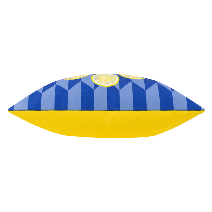Limoncello 43x43 Outdoor Cushion Case Blue - image 4