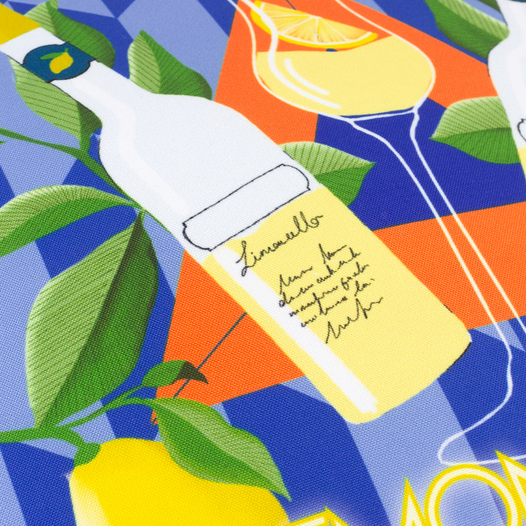 Limoncello 43x43 Outdoor Cushion Case Blue - image 5
