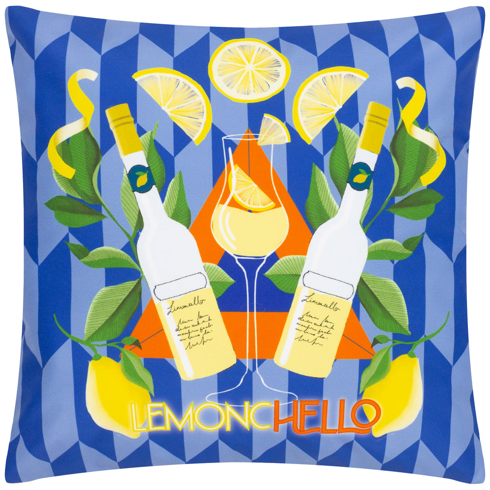 Limoncello 43x43 Outdoor Cushion Case Blue - image 2