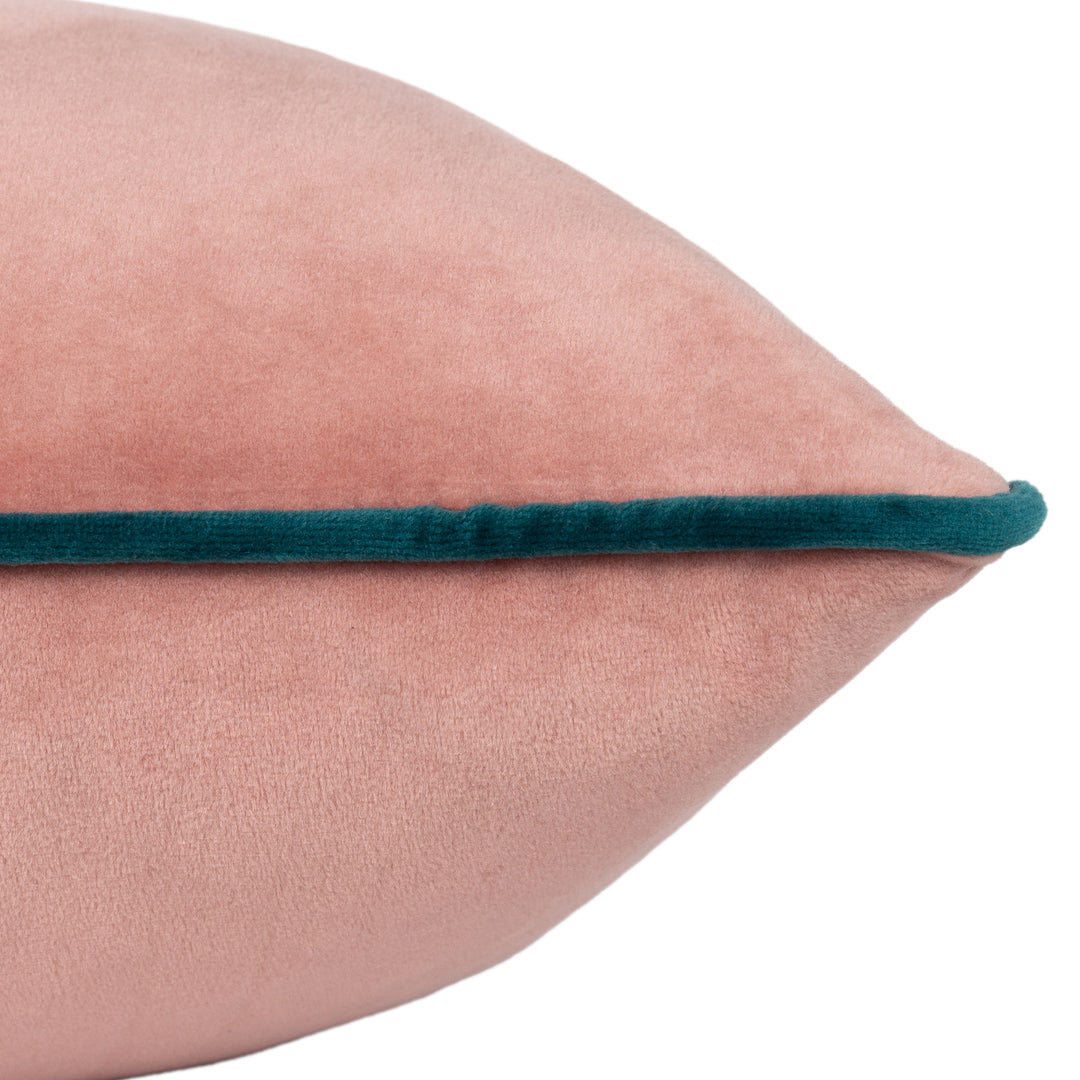MERIDIAN 55X55 C/C BLUSH/TEAL