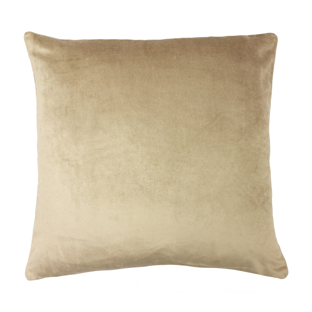 MOONLIGHT 50X50 C/CASE CHAMPAGNE