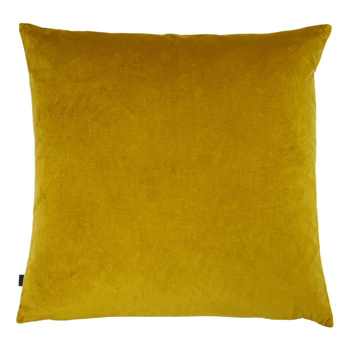 NEVADO 50X50 C/CASE GOLD