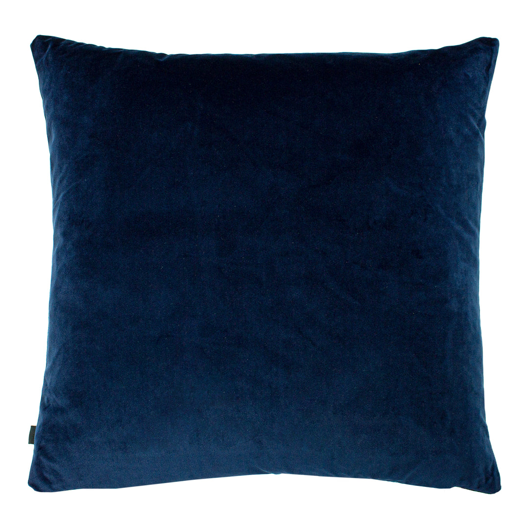 NEVADO 50X50 C/CASE INDIGO/ROYAL