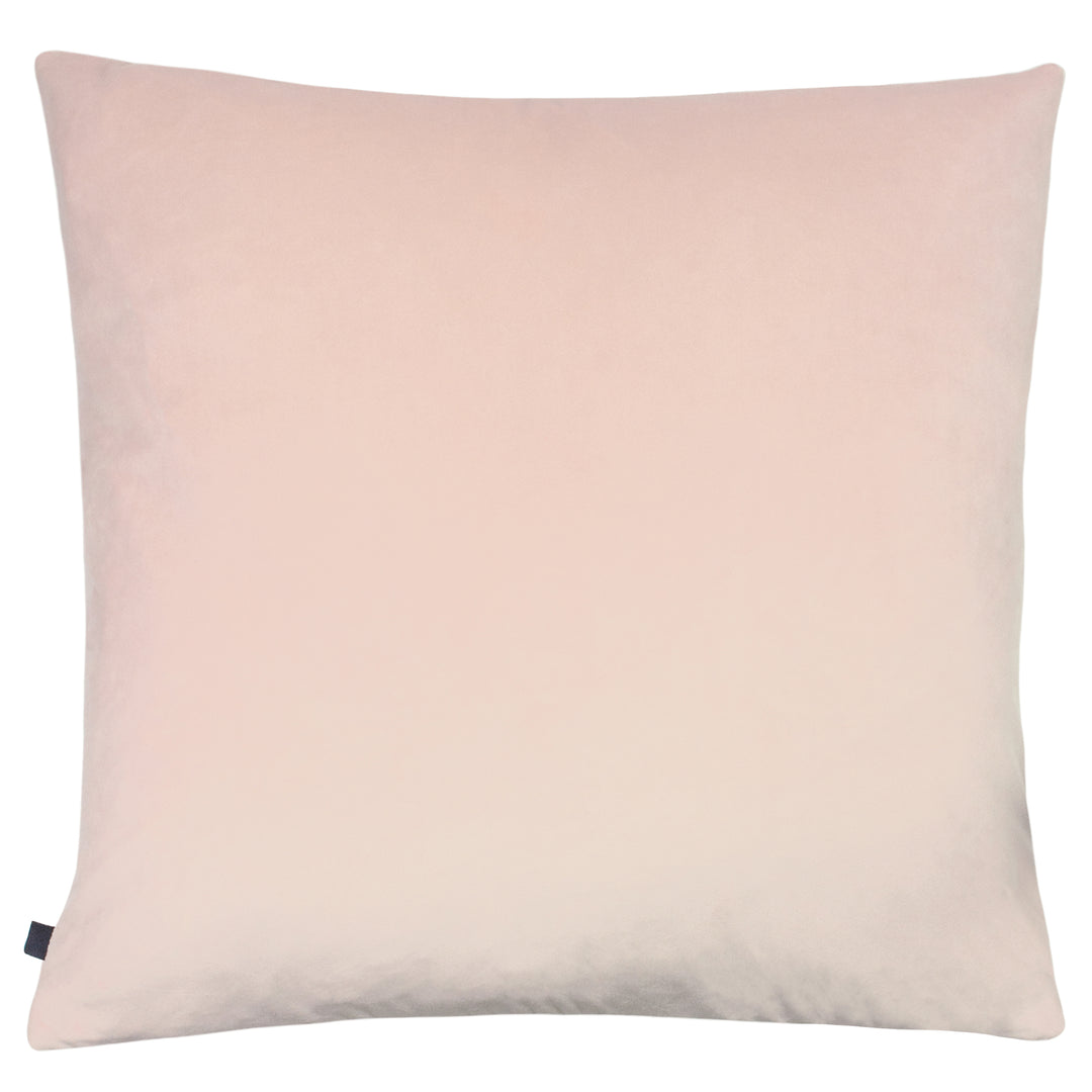 NEVADO 50X50 C/CASE ROSE GOLD/BLUSH