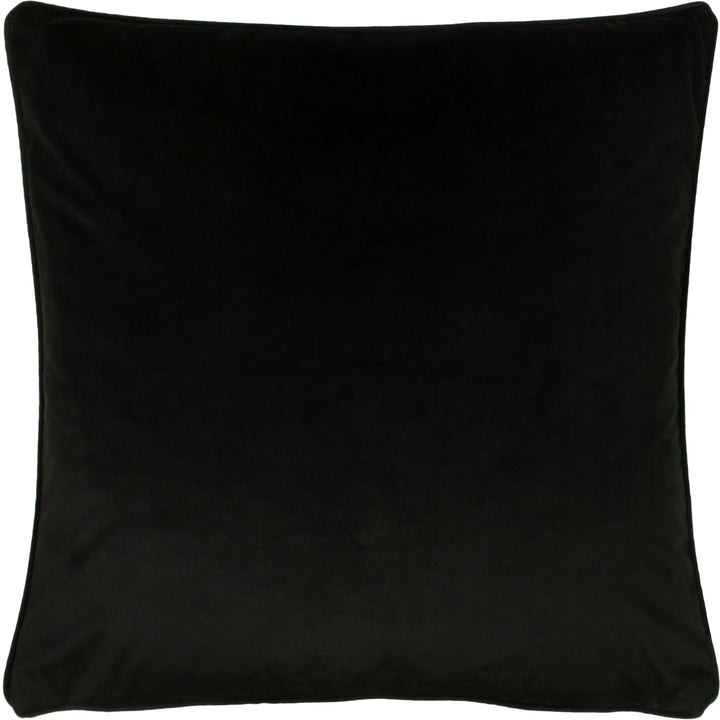 OPULENCE 55X55 C/CASE JET