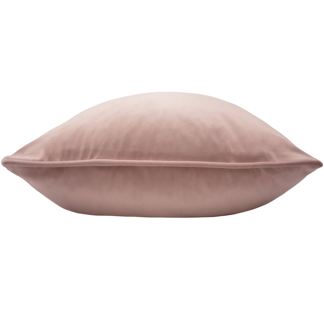 OPULENCE 55X55 C/CASE POWDER