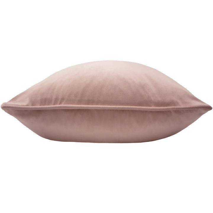 OPULENCE 55X55 C/CASE POWDER