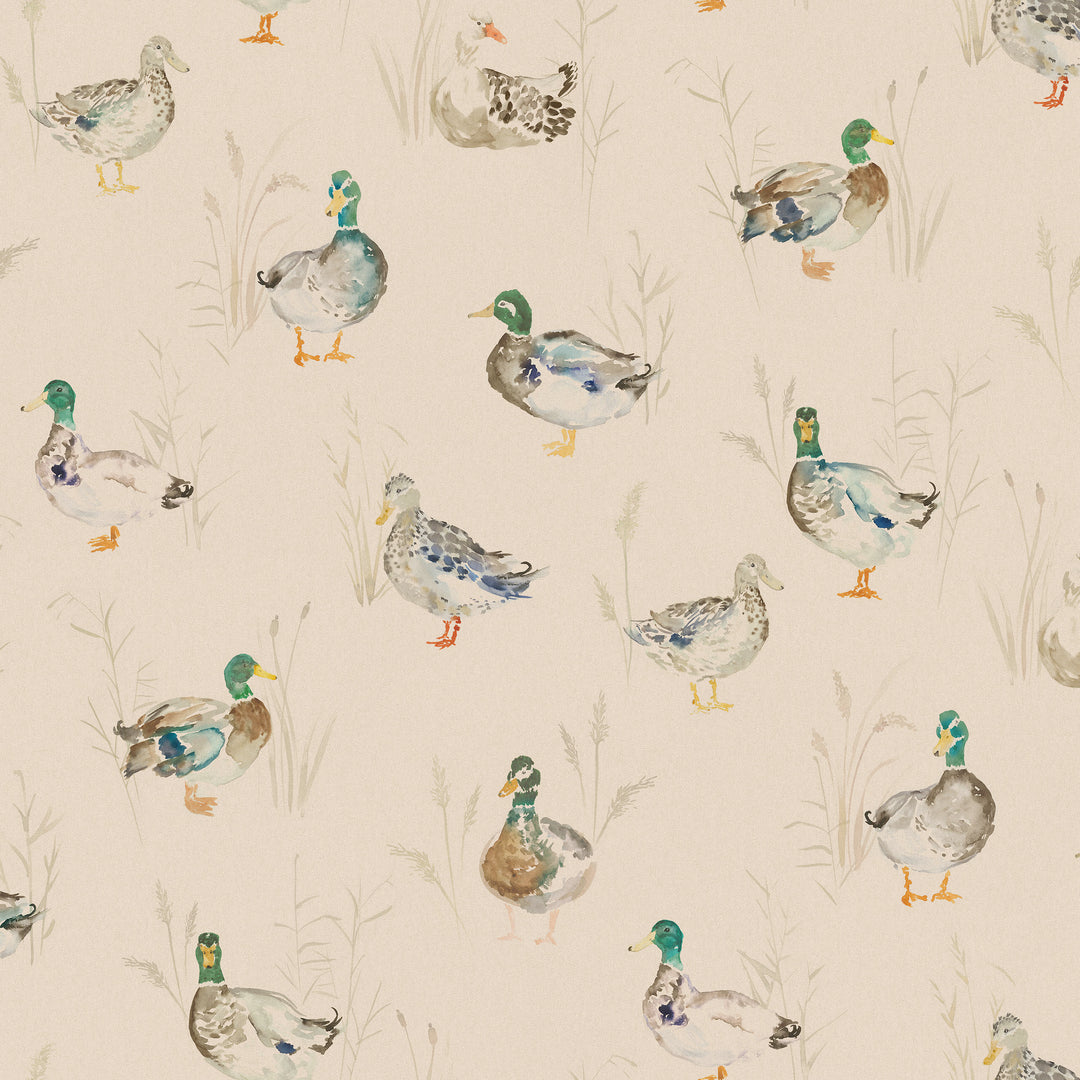Paddling Ducks Wallpaper Cream - image 3