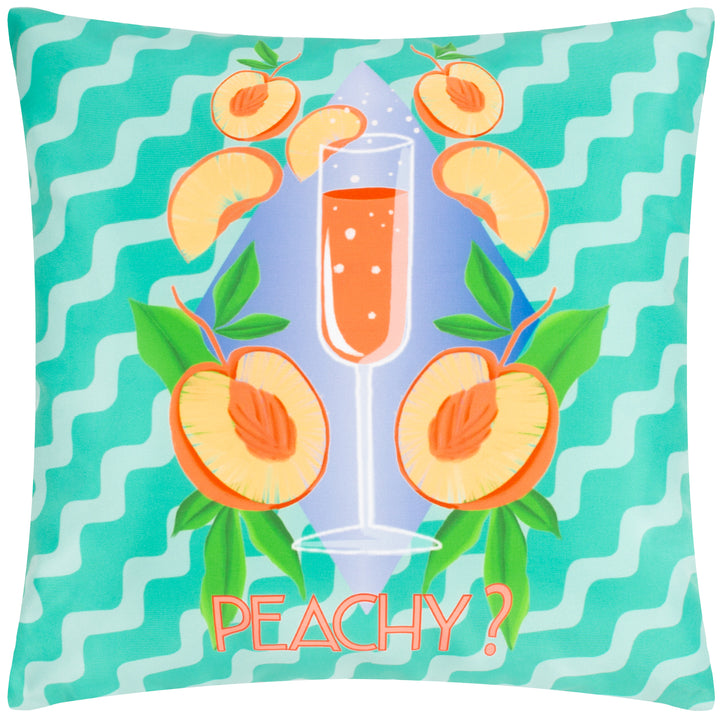 Peachy 43x43 Outdoor Cushion Case Aqua - image 2