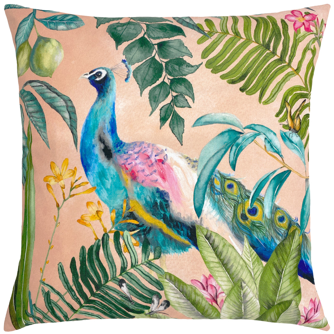 Peacock 43x43 Outdoor Cushion Cover Blush