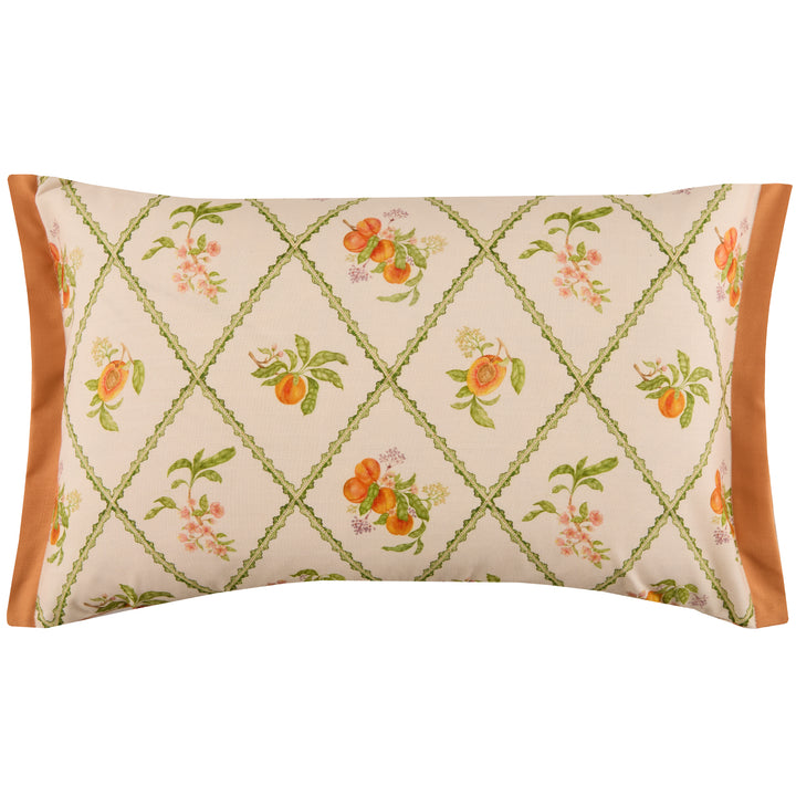 PEACH TRELLIS 40X60 OUTDOOR CUSHION CASE ORANGE