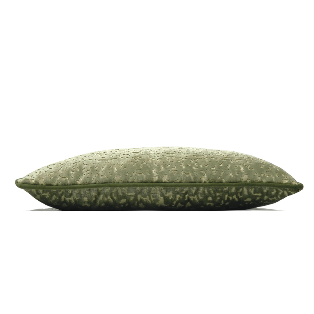PHAROAH 30X50 C/CASE OLIVE