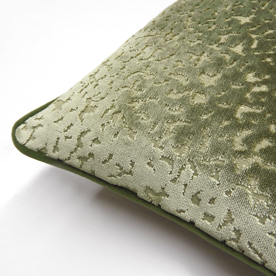 PHAROAH 30X50 C/CASE OLIVE